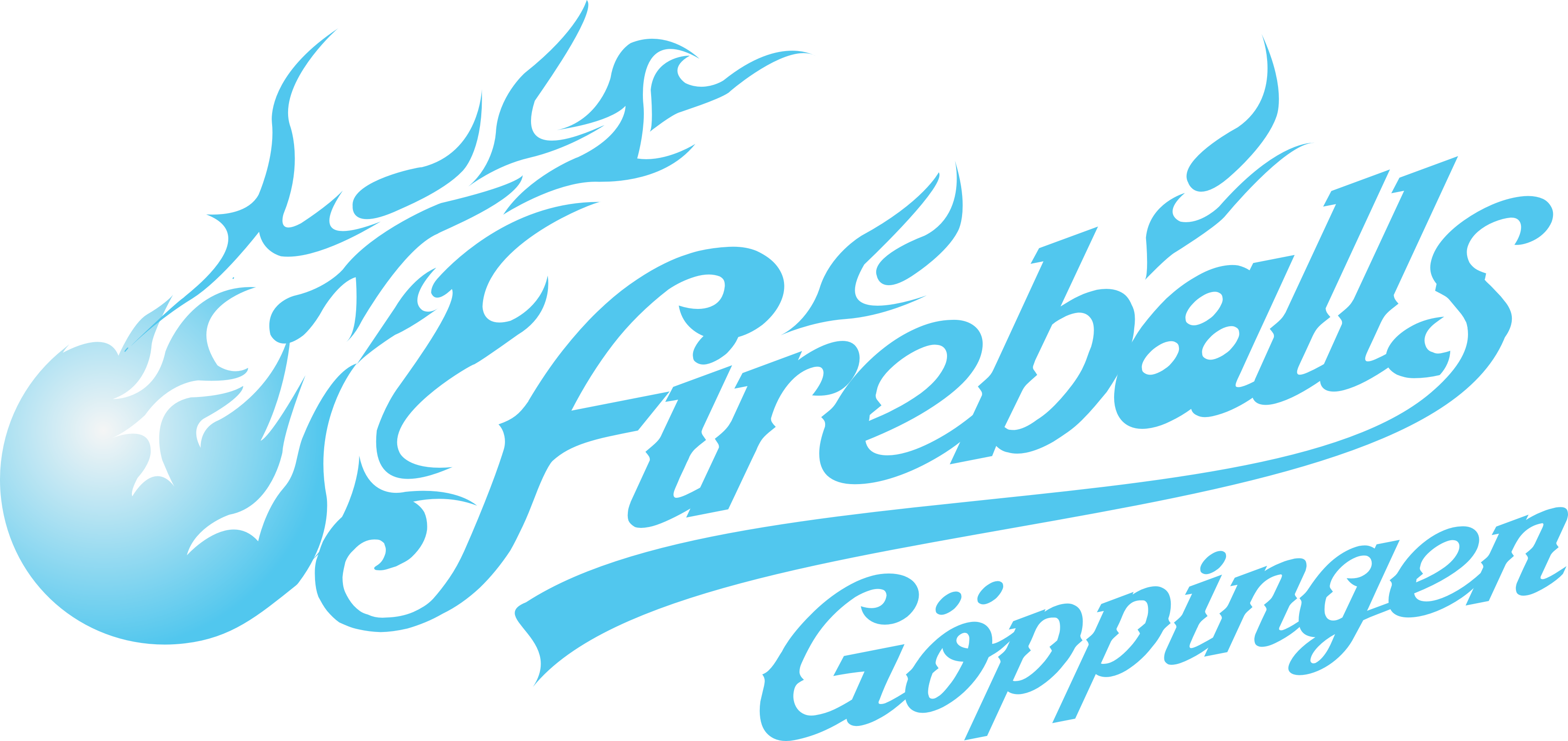 Fireballs Göppingen e.V.